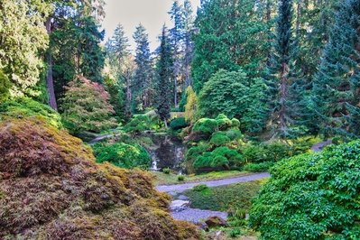 pictures of Puget Sound - Bloedel Reserve
