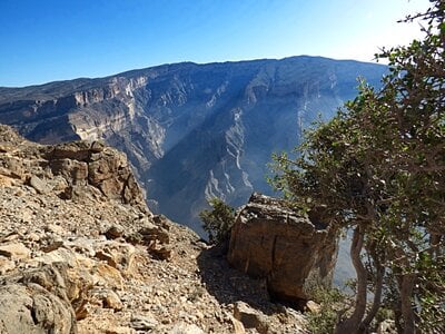 Oman photos - Jebel Shams Viewpoint