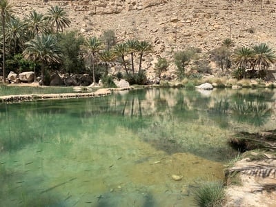 images of Oman - Wadi Bani Khalid
