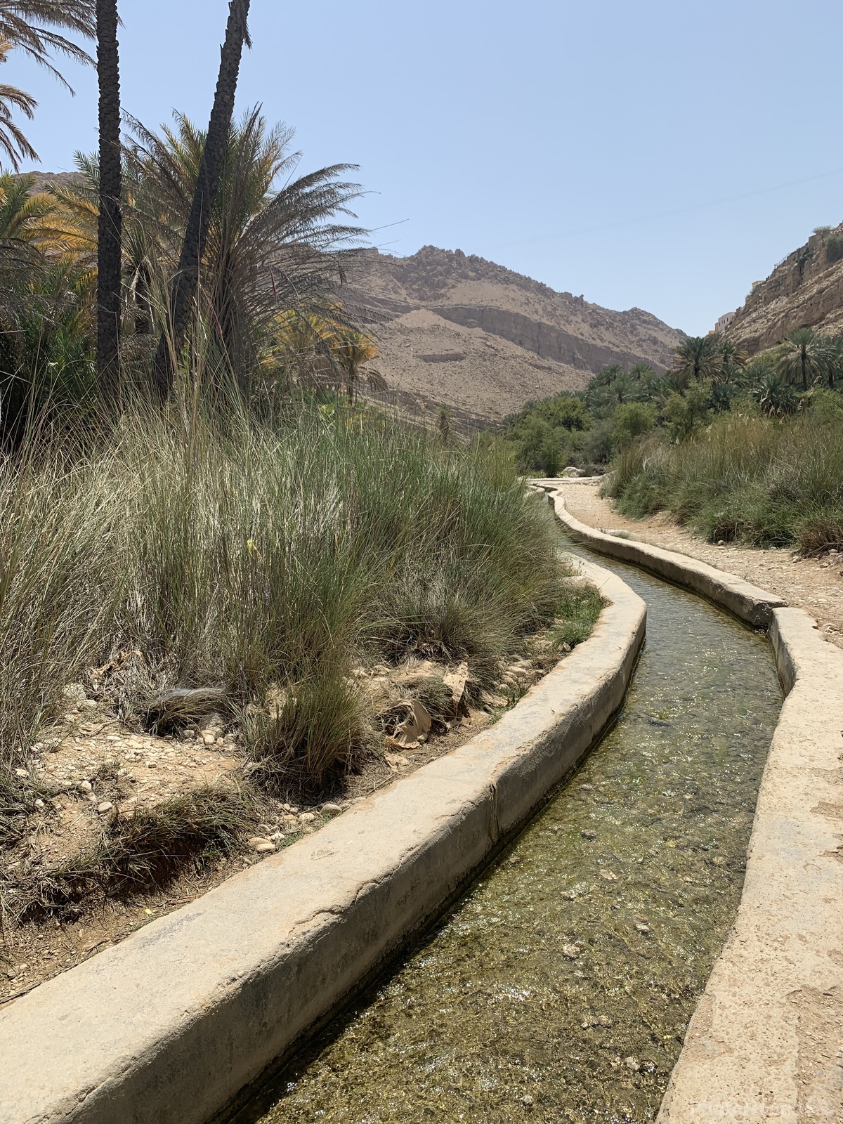 Image of Wadi Bani Khalid by Alexandra Sharrock