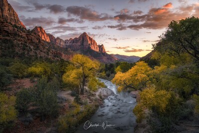 pictures of Zion National Park & Surroundings - The Watchman - View from the Bridge