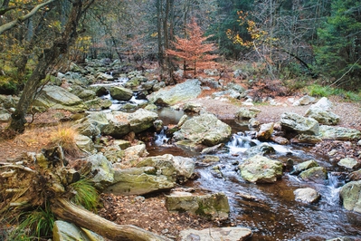 Image of Hoëgne Valley Hiking trail - Hoëgne Valley Hiking trail