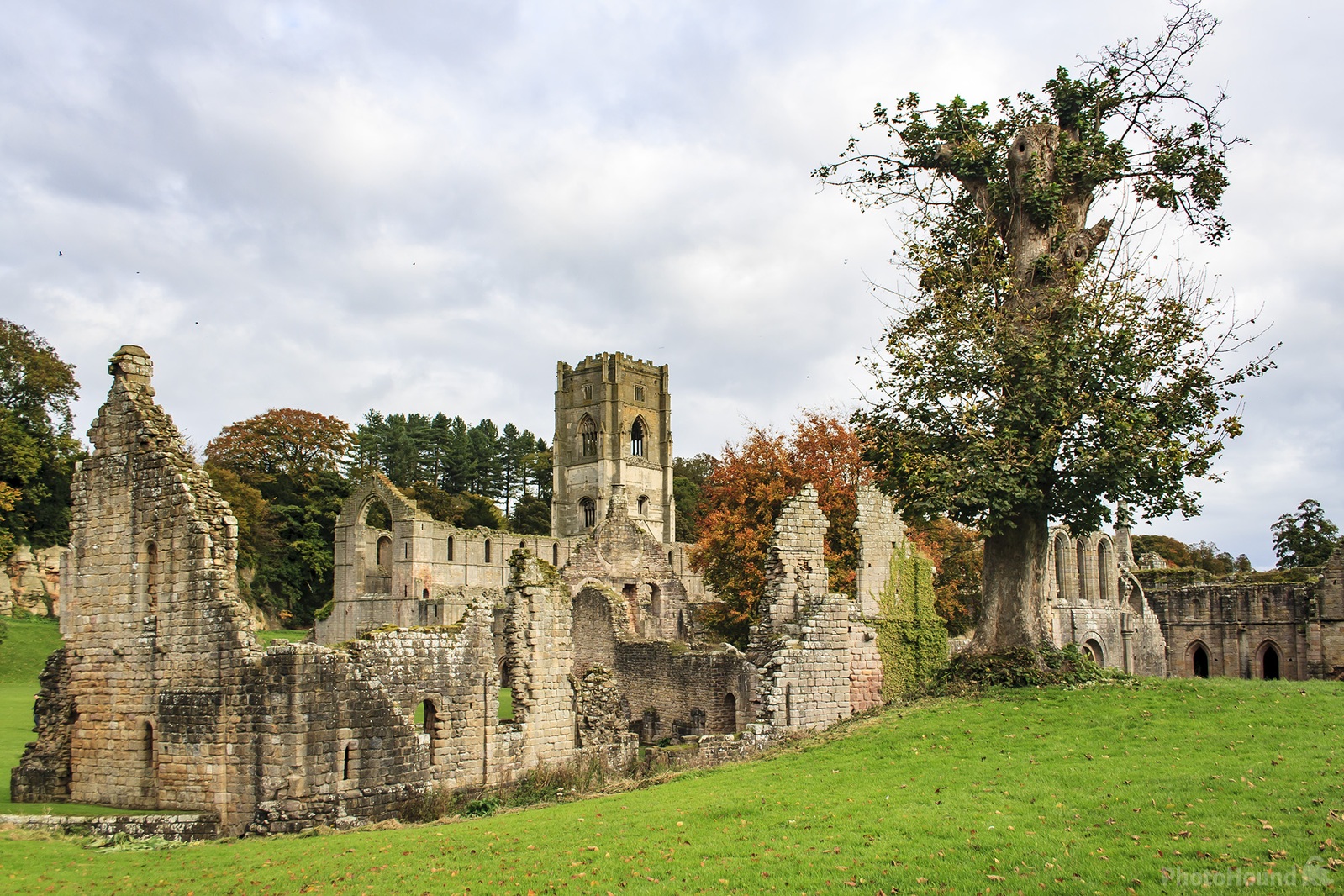 Image of Fountains Abbey by Carol Henson