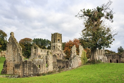Photo of Fountains Abbey - Fountains Abbey