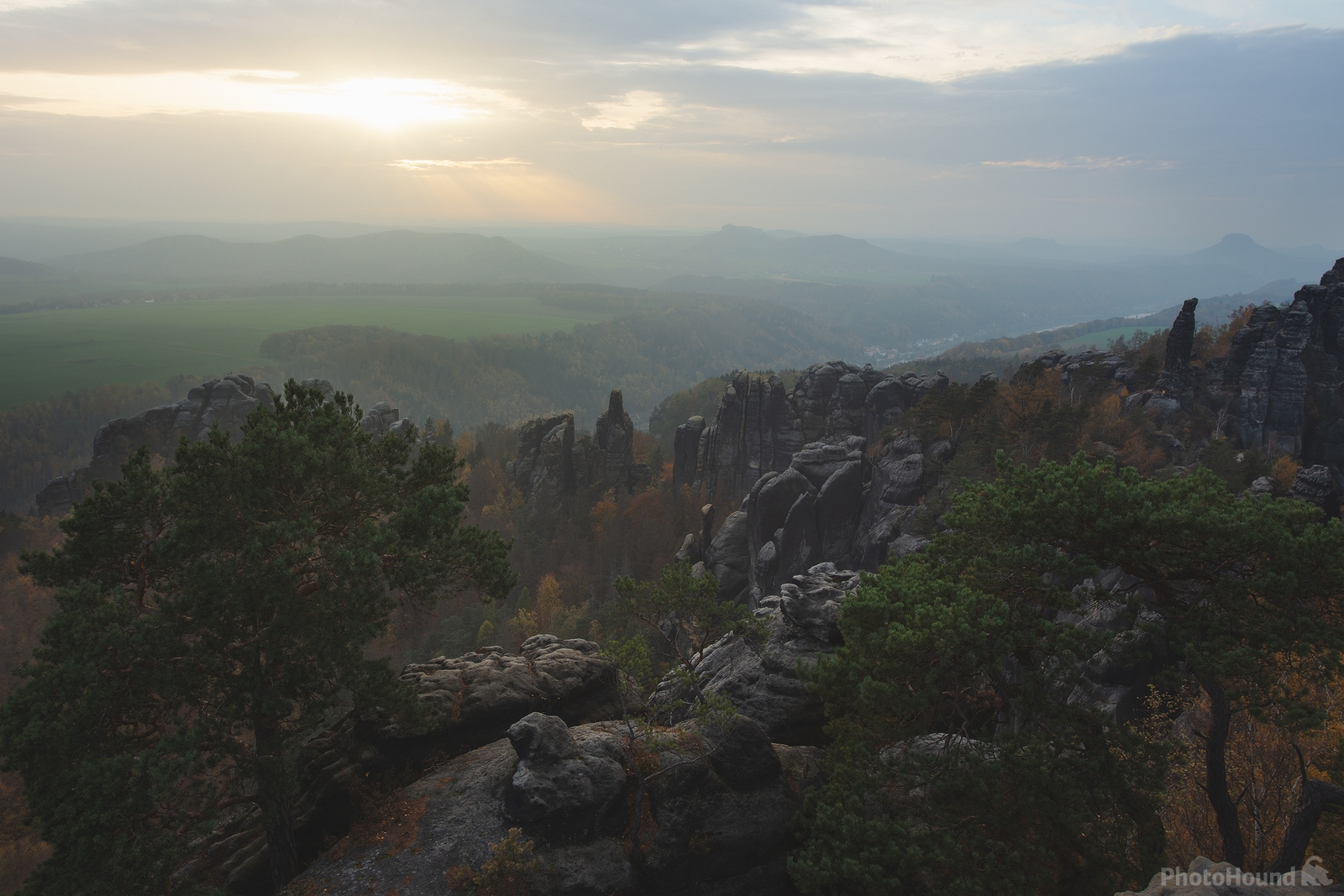 Image of Two Trees, Saxon Switzerland National Park by Anton Averin