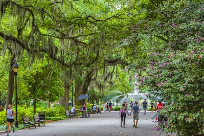 United States events - Savannah Trolley Tours