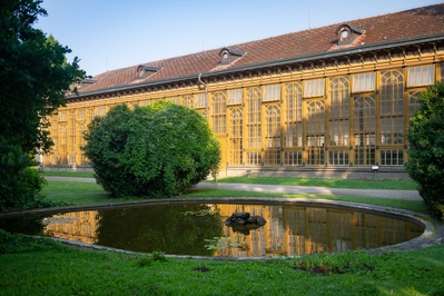 Picture of Palmhouse in the Opočno Castle park - Palmhouse in the Opočno Castle park