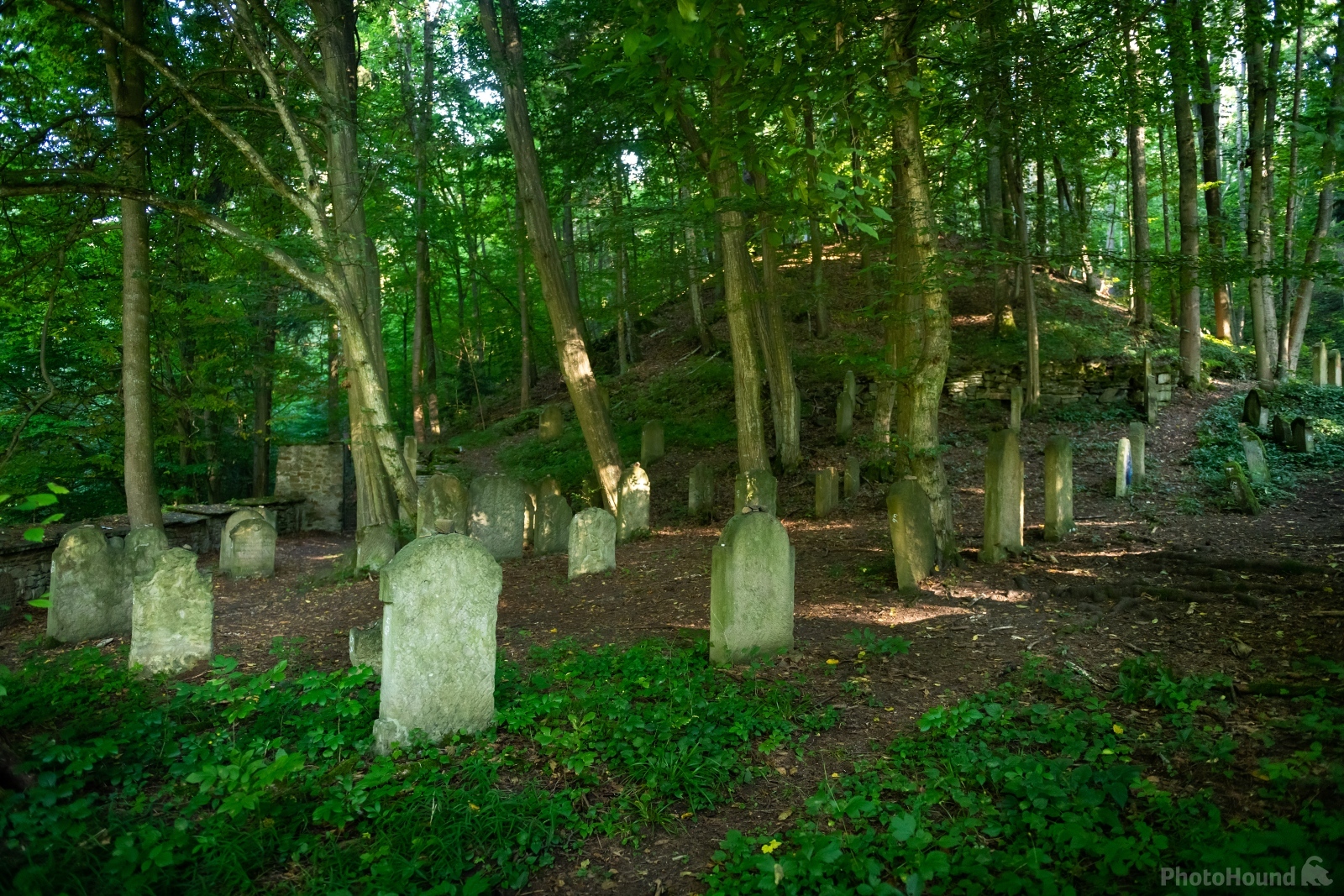Image of Jewish Graveyard, Podbřezí village by VOJTa Herout