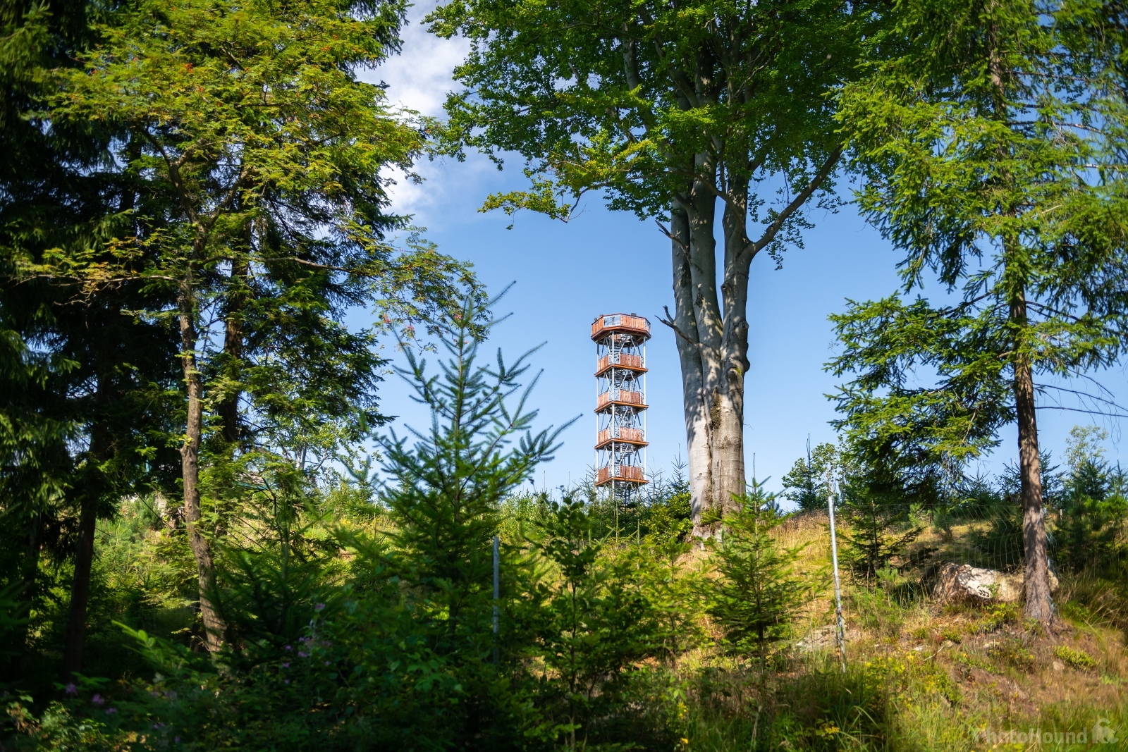 Image of Feistův kopec lookout tower by VOJTa Herout