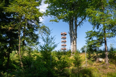 Czechia images - Feistův kopec lookout tower