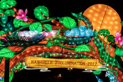 Tennessee instagram locations - Zoolumination at Nashville Zoo