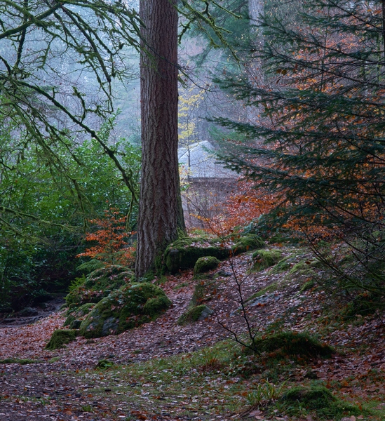 Ossian's Hall within the misty woodland. Try the door -- find out why it is called "Ossian's Hall of Mirrors". Go through to the balcony to see the waterfall.