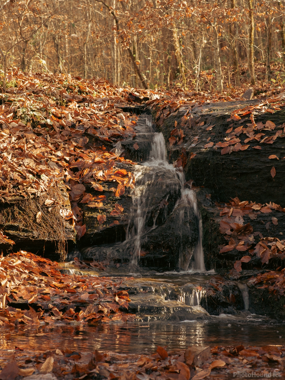 Image of Fall Hollow Falls by James Billings.