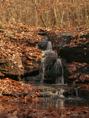 The small waterfall that can be found further along the path
