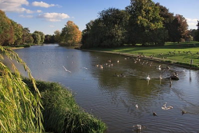 Image of Verulamium Park, St Albans - Verulamium Park, St Albans