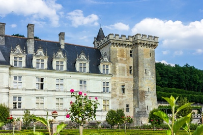 Picture of Chateau de Villandry - Chateau de Villandry