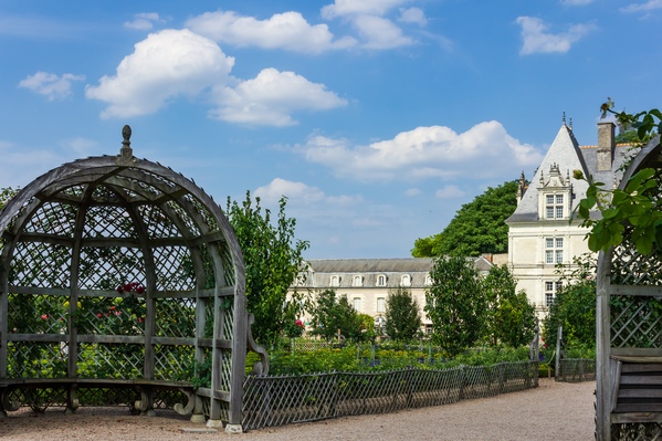 Looking back towards the chateau from the gardens