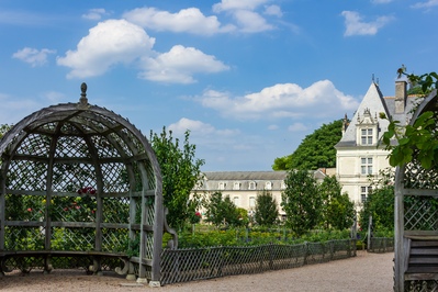 Image of Chateau de Villandry - Chateau de Villandry