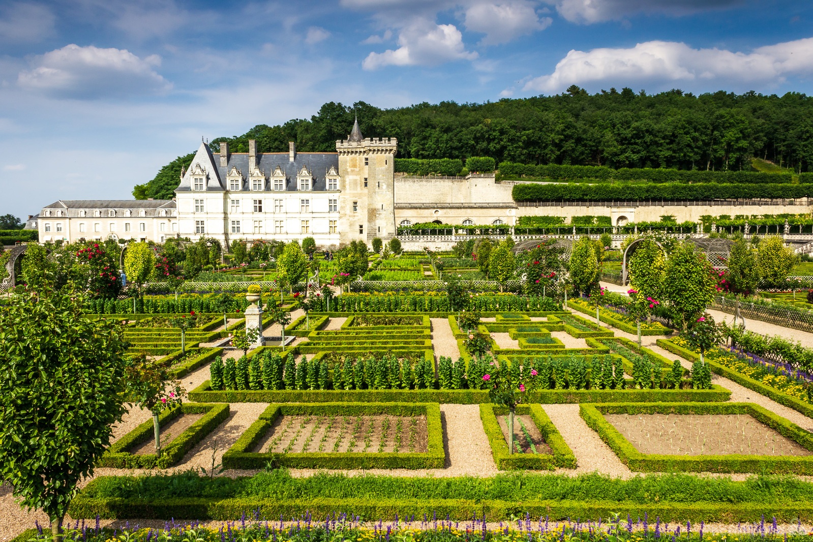 Image of Chateau de Villandry by Carol Henson