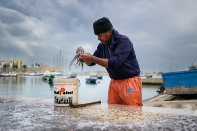 Italy instagram spots - Bari Fish Market
