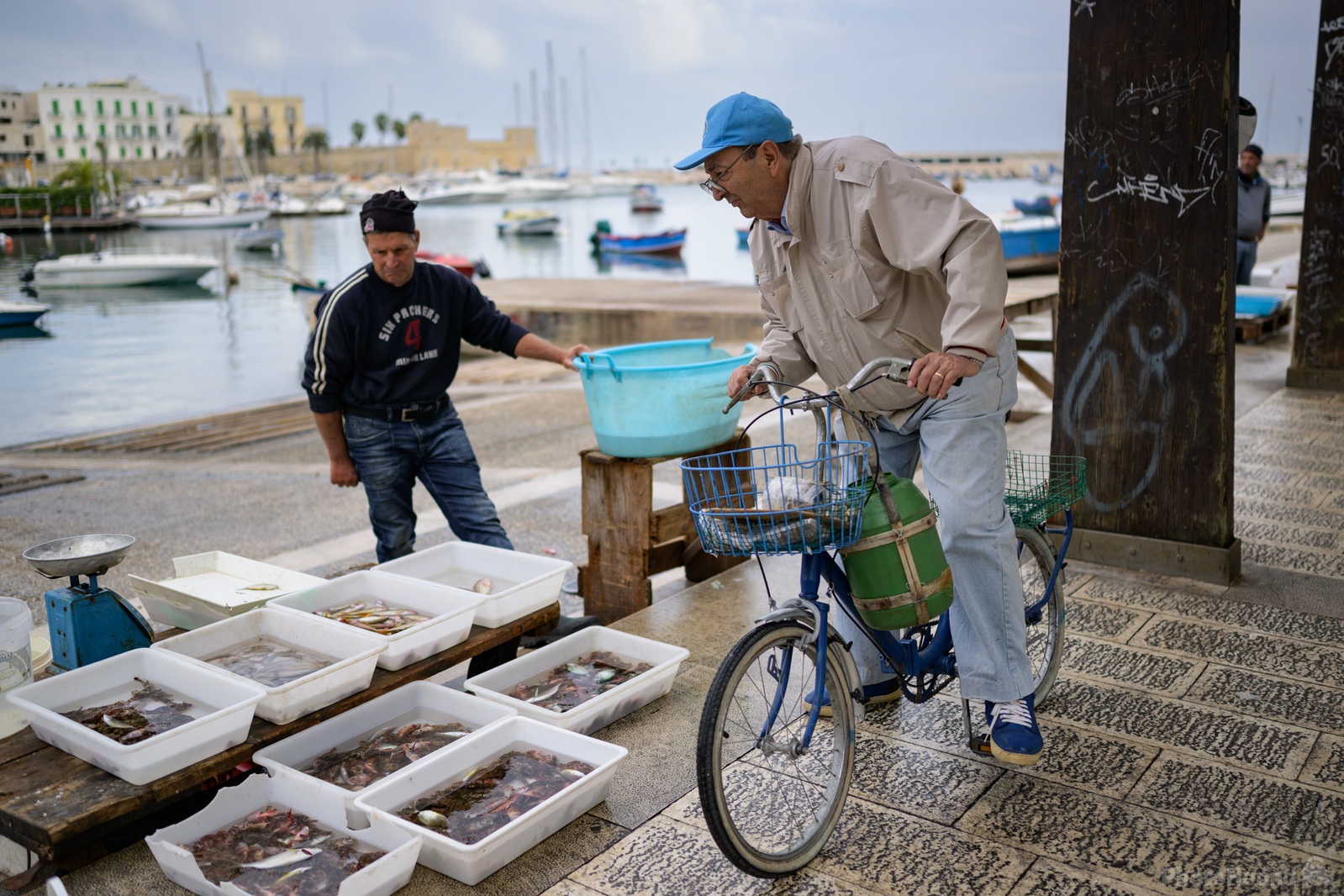 Image of Bari Fish Market by Luka Esenko