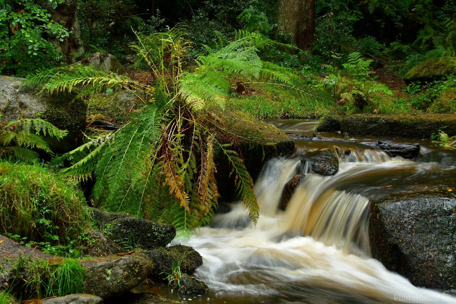 Image of Wyming Brook by Philip Eptlett
