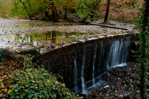 One of the weirs in Dimmingsdale, with the pond covered in a carpet of autumn leaves