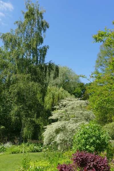 The garden in May 2015