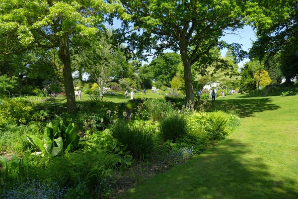 The garden in May 2015