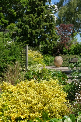 Image of Beth Chatto's Garden  - Beth Chatto's Garden 