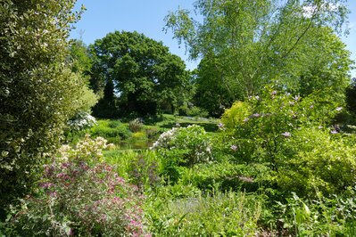 Photo of Beth Chatto's Garden  - Beth Chatto's Garden 