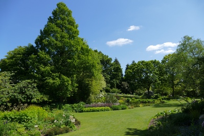 Picture of Beth Chatto's Garden  - Beth Chatto's Garden 