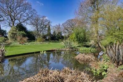 Picture of Beth Chatto's Garden  - Beth Chatto's Garden 