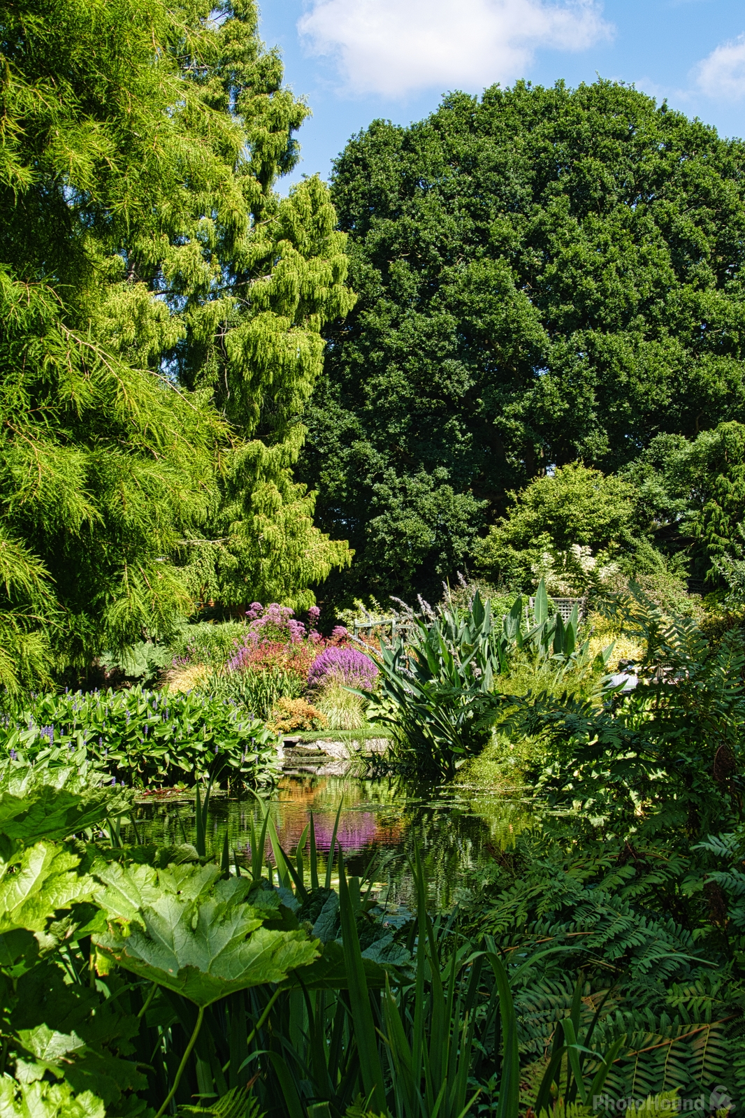 Image of Beth Chatto\'s Garden  by Harold Neale