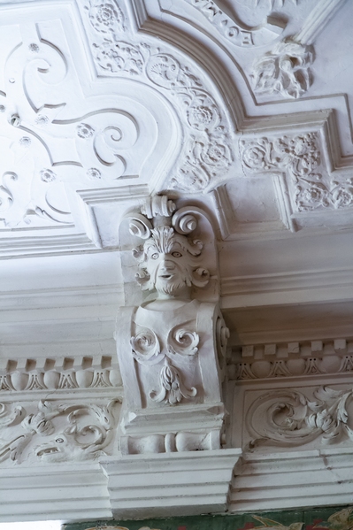 The beautiful plaster ceiling in the long gallery