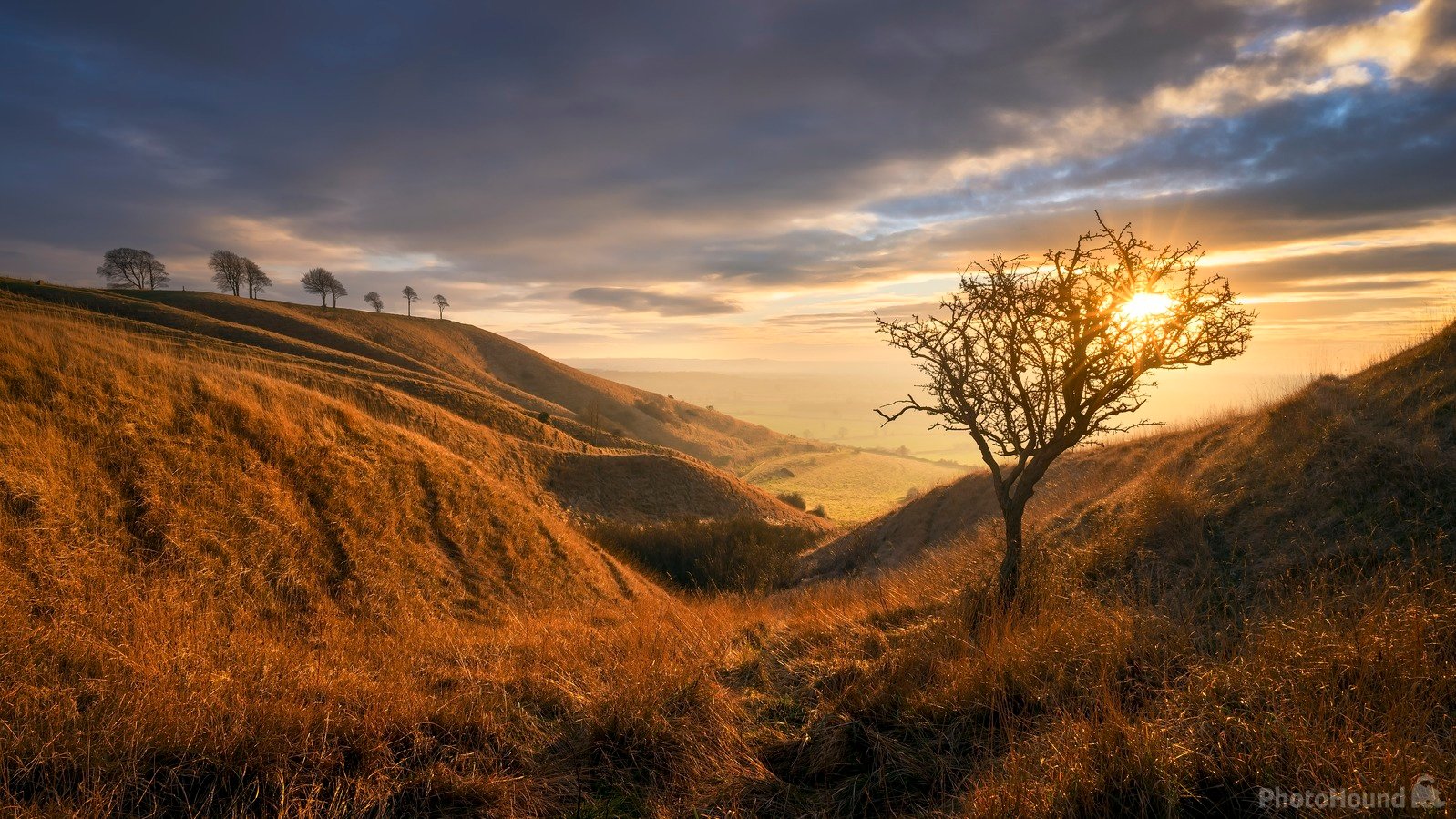 Image of Roundway Down by Steve Tennant