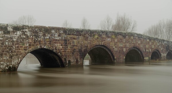 Spetisbury bridge.