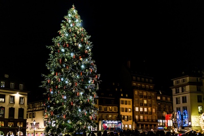 The giant tree in Place Kleber, during the Christmas Markets
