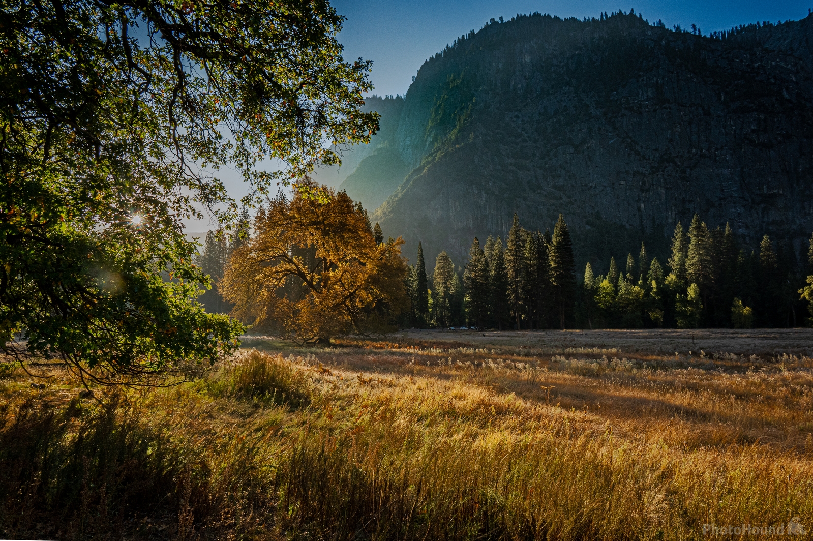 Image of Cooks Meadow by Charley Corace