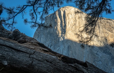 images of Yosemite National Park - El Capitan Meadow
