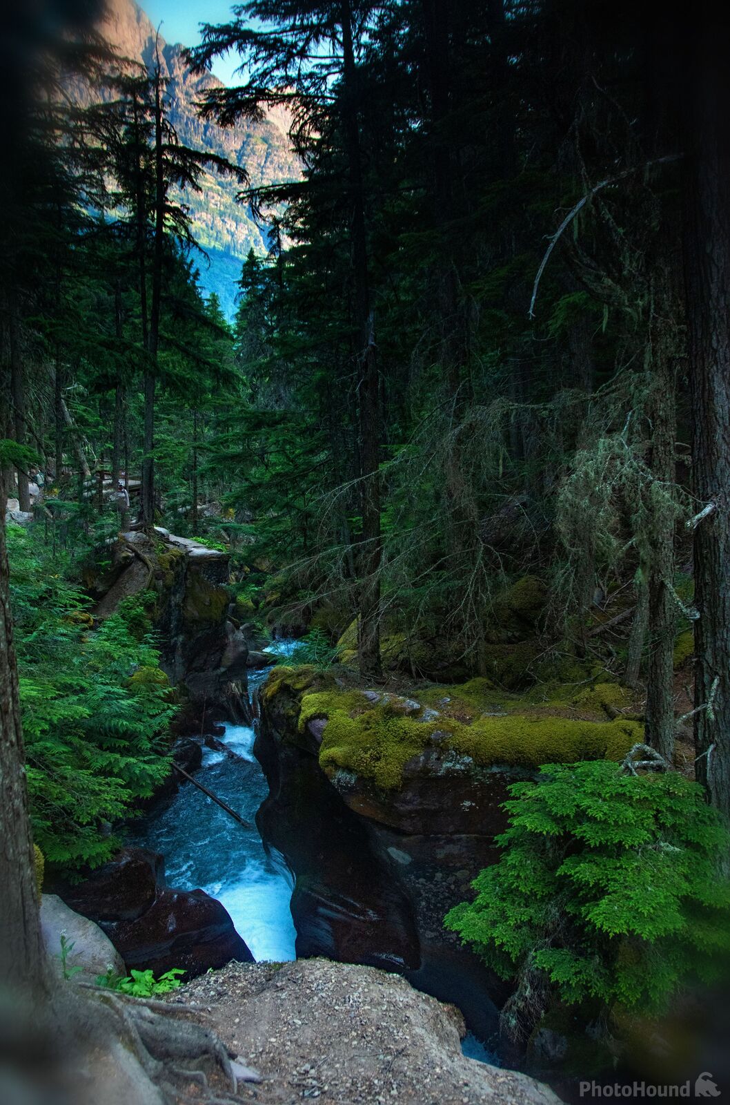 Image of Avalanche Gorge by Charley Corace