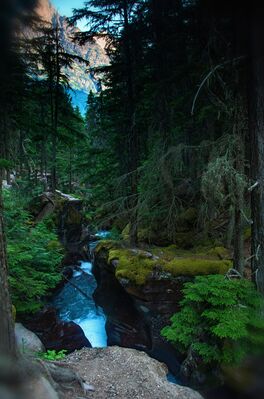 Picture of Avalanche Gorge - Avalanche Gorge