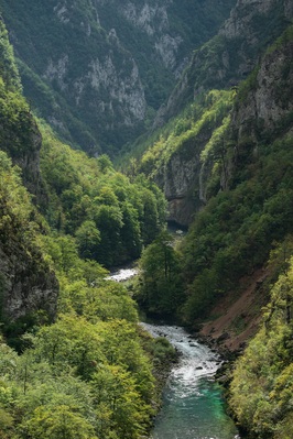 Piva River Canyon