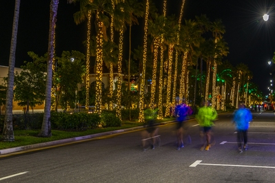 Runners and Christmas decorations. Wrapping lights around palm trees is a common decoration in Florida.