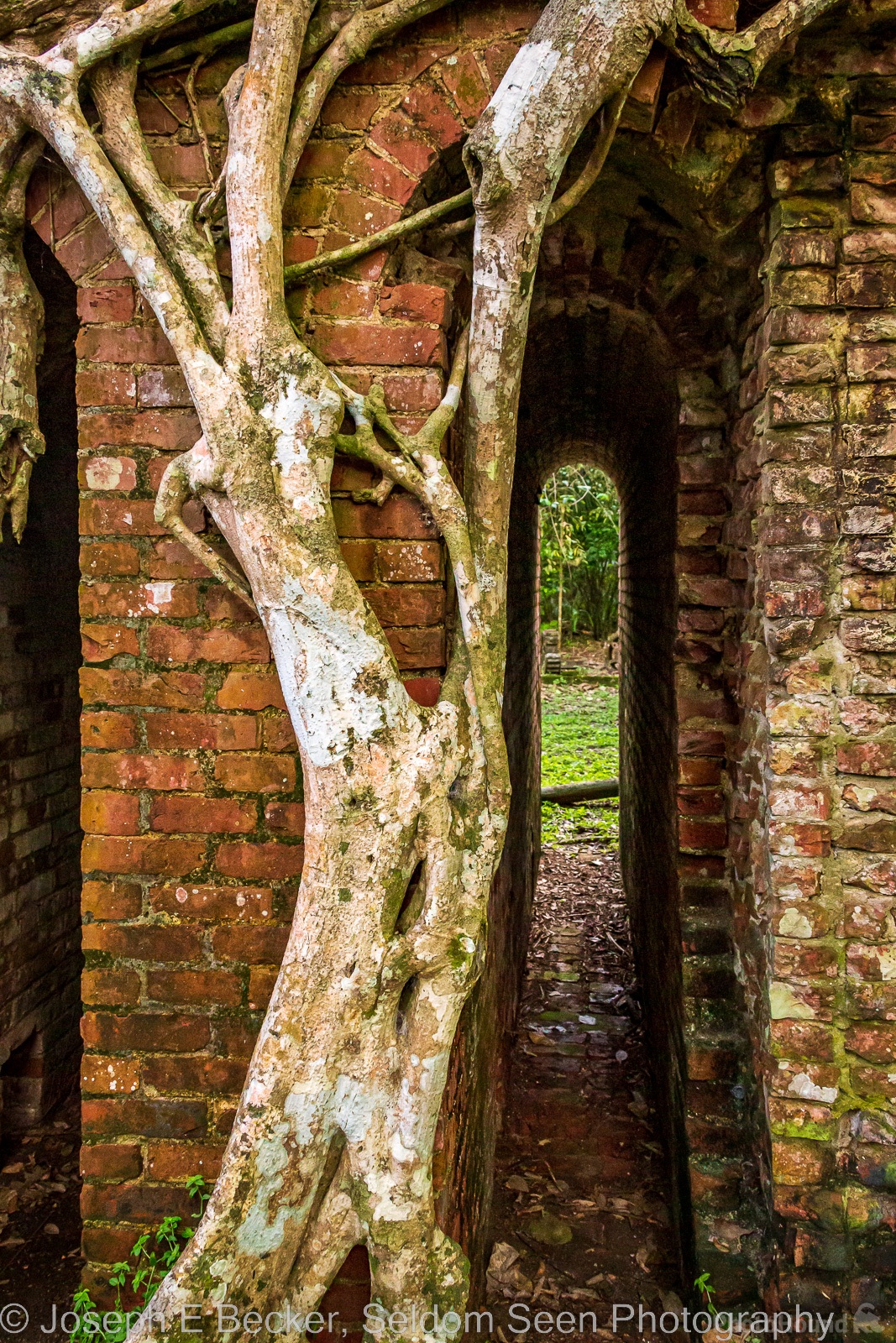 Image of Lamanai Archaeological Reserve - Colonial Sugar Mill by Joe Becker