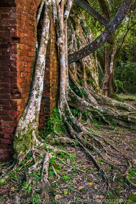 photos of Belize - Lamanai Archaeological Reserve - Colonial Sugar Mill