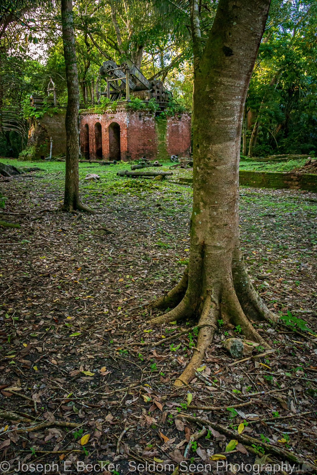 Image of Lamanai Archaeological Reserve - Colonial Sugar Mill by Joe Becker
