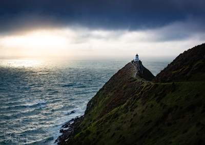 Picture of Nugget Point Lighthouse - Nugget Point Lighthouse