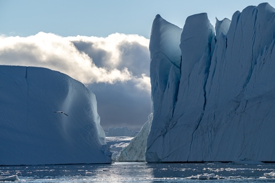 Greenland pictures - Disko Bay Boat Tour