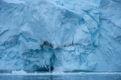 Calving iceberg in Disko Bay.